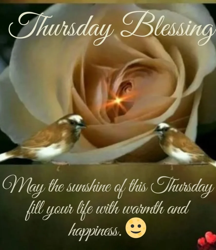 Happy Thursday Blessings