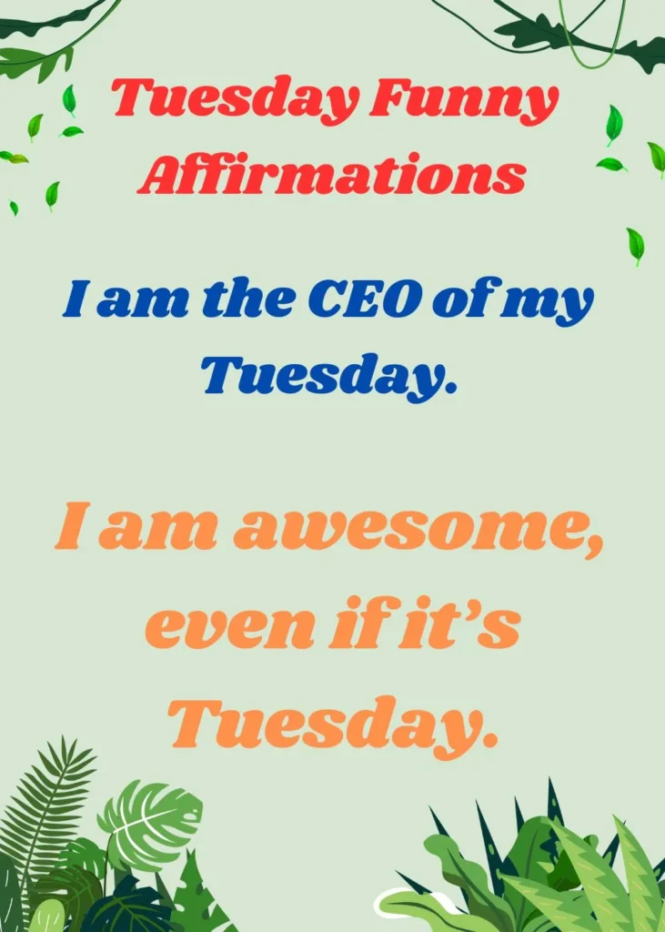 Tuesday Funny Affirmations