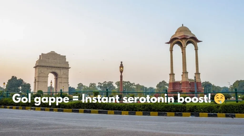 Delhi Food Captions