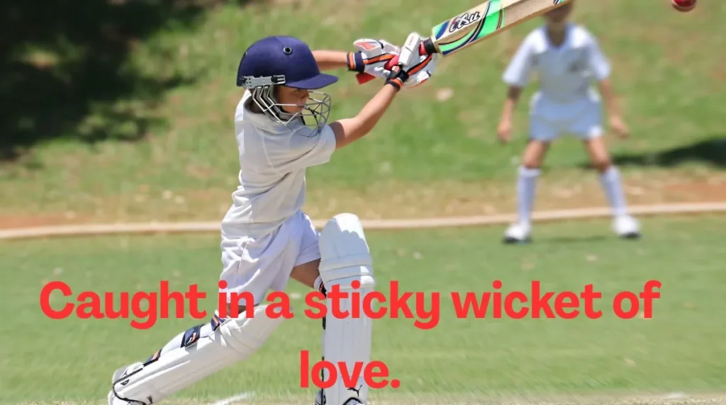 Witty Wordplay Cricket Captions